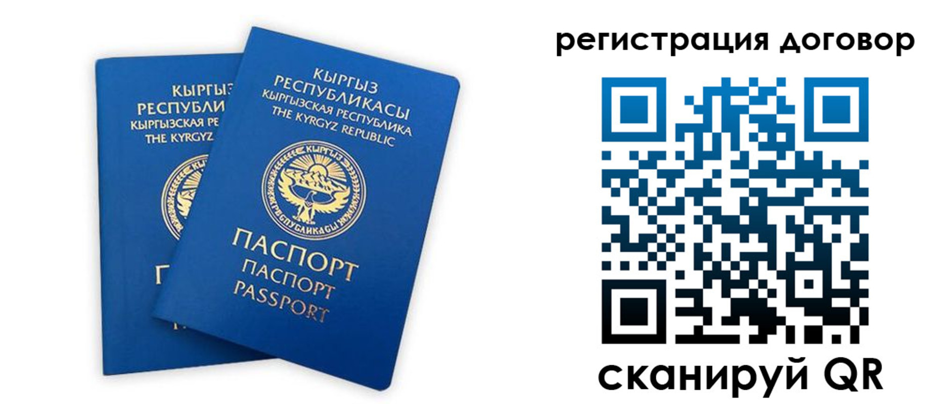 прописка законно в Химках